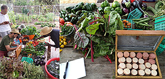 Santa Barbara Food Independence Co-Operative