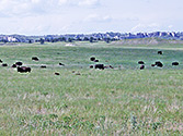 Pine Ridge Reservation
